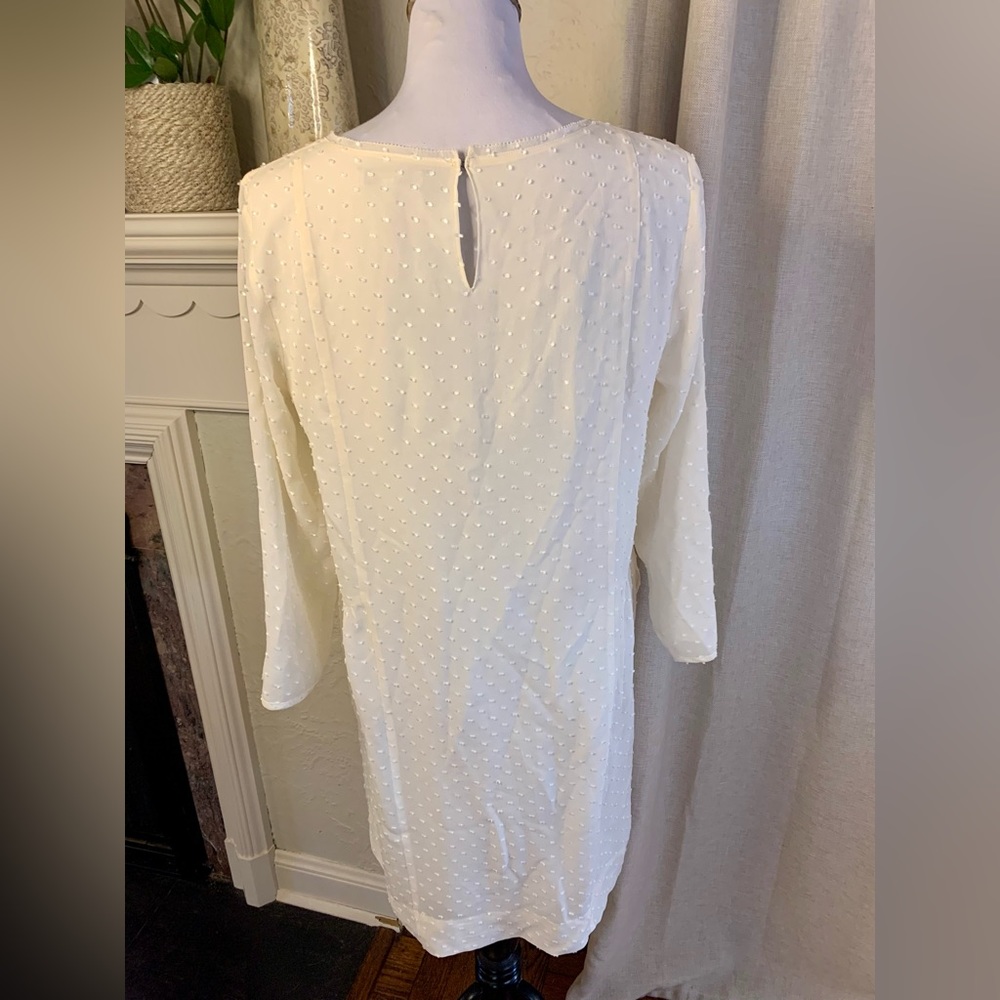 Madewell Swiss dot silk dress woman’s size medium - Picture 4 of 9
